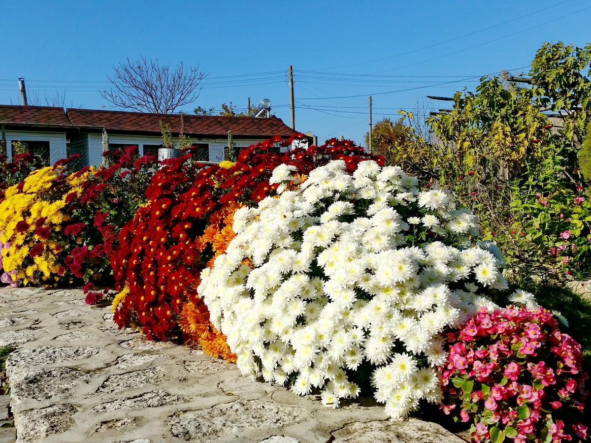Kosta Bungalows Bŭlgarevo 외부 사진